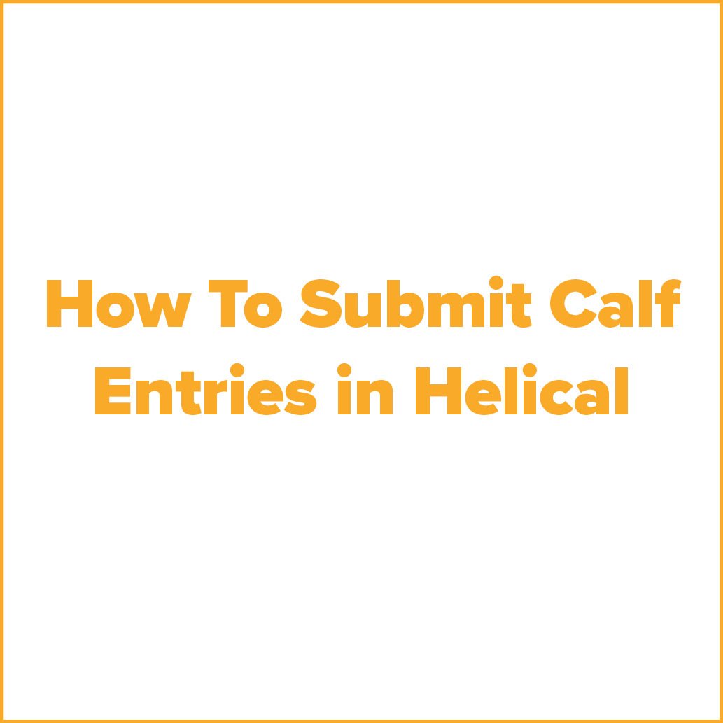 how_to_submit_calf_entries_panel